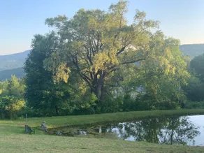 Catskills Escape | Panoramic Views, Pond, & Sauna - Image 2