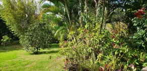 The Ohana - Image 4