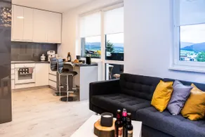 BL - The Apartment Lenka, 24hr Self Check-in, Free Private Parking, Balcony with Mountain View, 5 minute walk to City Center - Image 2