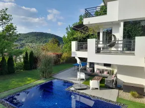 Luxe vacation next to Budapest(PrivateFamilyVilla) - Image 5
