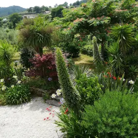 Casita del Norte - Image 4