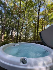 cozy new buffalo cabin, hot tub, 14m walk to beach - Image 3