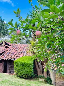 Flor de María Country Cabin 2 - Image 5
