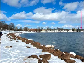 Wharfside - Waterfront + Downtown + Victoria Park - Image 5
