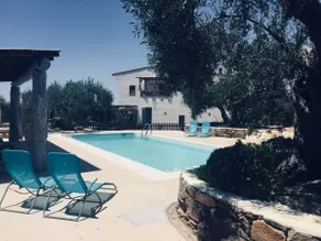 Flores Amarillas Farm - Image 3