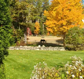 Et land, der føles meget tæt på Dock Square i Kennebunkport - Hunde Velkommen! - Image 3