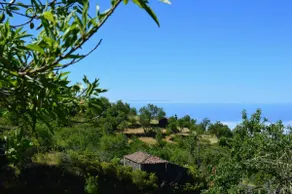 Casa ”Pío” in Tijarafe, La Palma - Image 3