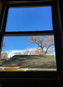 Above the Tree Tops Apartment - Image 3