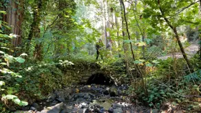 Grass Valley Treehouse Retreat near the Yuba River - Image 5