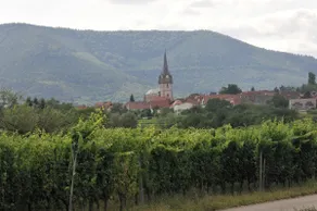Les cerisiers - Image 2