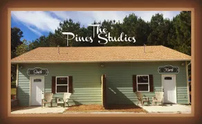 The Pines Studio South Near the Buffalo River - Image 4