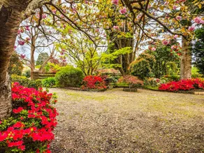Birdwood Guesthouse - Image 3