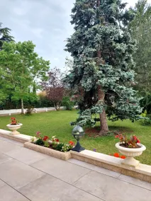 2-bedroom house with large garden - Image 2