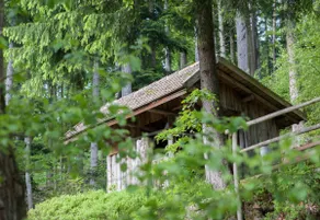 Relax in the Northern Black Forest - Image 5
