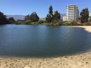 Lomas de Papudo III - Image 4