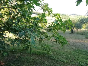 Studio apartment for 2 people between Rimini and San Marino - Image 4