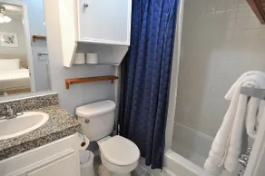 Awesome SoLa Central Austin Condo - Image 3