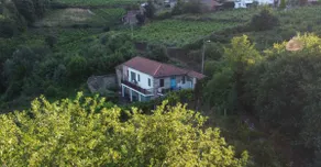 The English hideout - Image 4