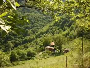 Cottage in nature, breakfast included - Image 4