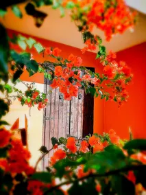 The Pirate Villa, Beautiful Hideout and Ocean View - Image 3