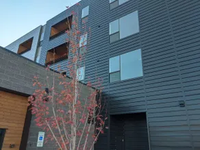 Great location!    A short walk to MSU and downtown!!! - Image 3