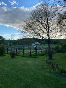 Country idyll with proximity to Marstrand and saltwater swimming - Image 3