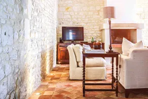Loire Valley year-round country loft near Chinon - Image 4