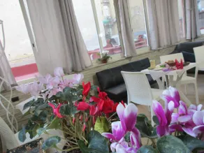 La Rosa di Napoli B&B - Entire Apartment - Image 2