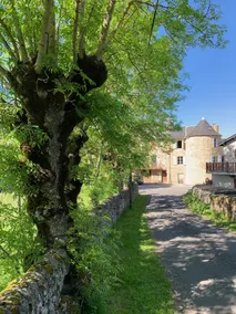 Charming House in Gorgeous, Quiet Medieval Village - Image 5