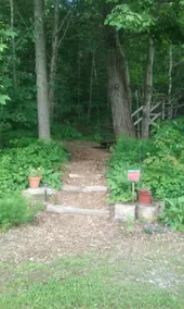 Guest House at Hummingbird Hill - Image 4