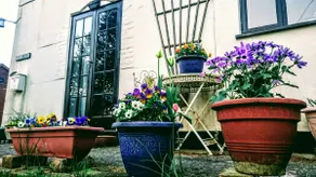 Cosy and idyllic Suffolk countryside getaway - Image 2