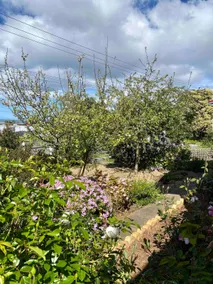 The Papermakers Cottage - Image 4
