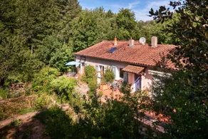 ”Au Petit Séquoia”, a gîte in the heart of nature - Image 2