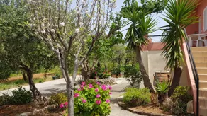 Cretan Rural Stay in Private Olive Grove Cottage - Image 2