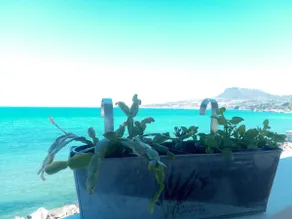 Kalives Beach House - Image 3