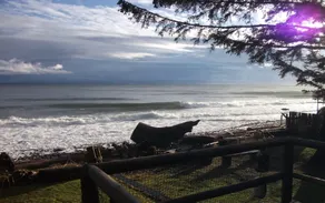 Beach front house with guest cabin! - Image 3