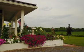 Vine To Villa Of The Finger Lakes - Image 3