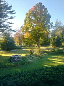 Belgrade Lakes/Wings Hill Lakeview Suite/Apartment - Image 4