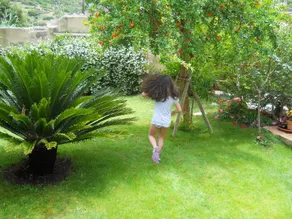 Villa 150m from the beach with private garden - Image 5