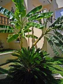 SIA Luxurious Holidays in Chania - Image 3