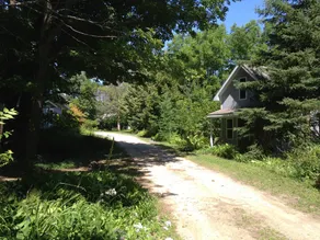 The Twig, near Lake Bellaire - Image 5