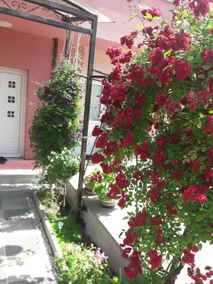 Apartment Renata-for short or long stay!! - Image 3