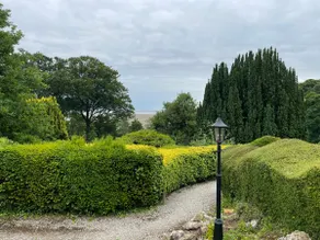 Treehaven at Netherwood Hotel - Image 2