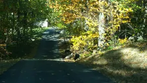Mountain View Vacation Home - Image 4
