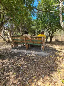 Cottage in Nyeri, Chaka - Image 2