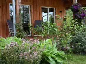Sustainable construction built in wood, in beautiful nature - Image 2