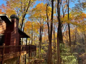 Cozy Cabin in the Treetops *Hot Tub* Pet-Friendly - Image 4