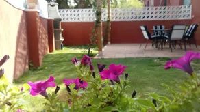 Peace and quiet in Begur - Image 5