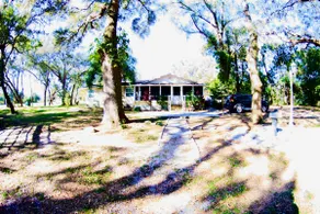 BUSCH GARDENS CHEERFUL HOME 3ACRES FREE PARKING/RV - Image 5