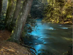 Private Unique Mountain River Cabin, Artist-Built - Image 3